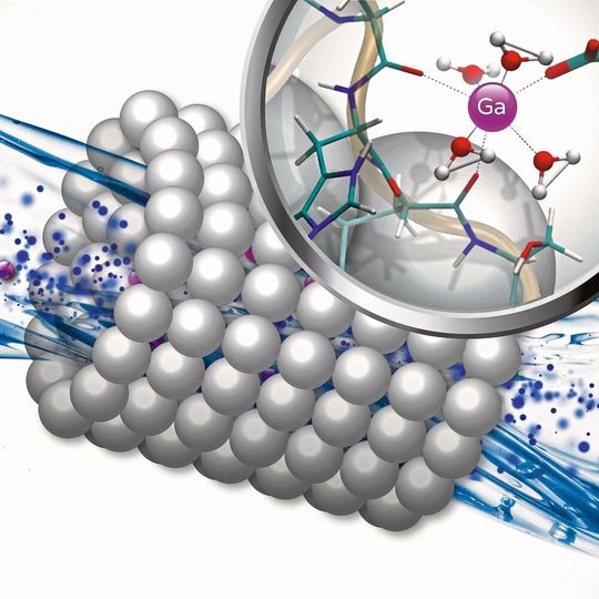 Special peptide compounds in the form of a filter act as a biological fishing rod to dissolve gallium out of industrial wastewater. Special peptide compounds in the form of a filter act as a biological fishing rod to dissolve gallium out of industrial wastewater.