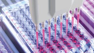 csm-ererre-d43f36a7c9 (© 2024 BRAND GMBH + CO KG)