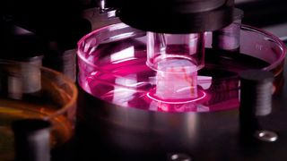 Die Online-Plattform „Bio-Materialize" für individualisierbare, biokompatible 3D-Drucke soll es Forschern ermöglichen, Modelle aus lebendem Gewebe oder anorganischen Strukturen für Labortests zu konfigurieren, parametrisch anzupassen und auf Knopfdruck zu bestellen. (Intuity Media Lab GmbH )