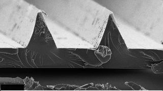 Rasterelektronenmikroskopische Aufnahme einer ribletstrukturierten Lackoberfläche Bild: Fraunhofer IFAM (Archiv: Vogel Business Media)