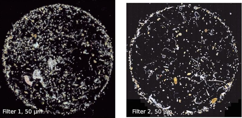 Abb. 1: Wasserprobe aus der Warnow auf zwei 50-µm-Silizium-Filter verteilt (Größe des Filters: 11 mm). In der Dunkelfeldaufnahme wird die Morphologie der Partikel optimal erkannt.