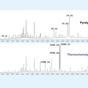 Abb. 3: Vergleich der Chromatogramme nach Pyrolyse-GC/MS und Thermochemolyse-GC/MS von Eozän-Bernstein aus Nigeria. (FAME: Fettsäuremethylester/FA: Fettsäuren; Beschreibung für Beschriftung im Text).