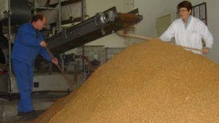 Mit der Schneckenpresse lassen sich auch unter Praxisbedingungen die grob strukturierten Faseranteile aus der Schlempe separieren. (Institut für Lebensmittel- und Umweltforschung) (Archiv: Vogel Business Media)