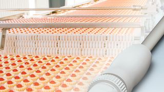 Hygienische Sicherheit: ist in der Lebensmittel-Industrie oberstes Gebot (Bild: Phoenix Contact)