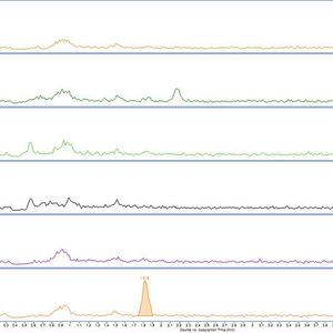 Abb. 3: Die resultierenden extrahierten Blindproben von (A) Diät-Soda, (B) Orangensaft mit Fruchtfleisch, (C) Tee, (D) Protein­getränk, (E) extrahierter Reagenzleerwert und (F) extrahierter 1 ng/mL-Standard in Wasser.(Bild:  Gerstel)