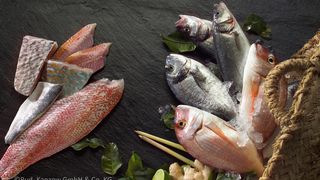 1808___Kanzow_LVS___gross ()