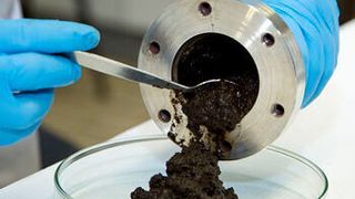 Im Rahmen des Projekts „Green Carbon“ sollen Hightech-Materialien aus Pflanzenabfällen hergestellt werden. (Universität Hohenheim)