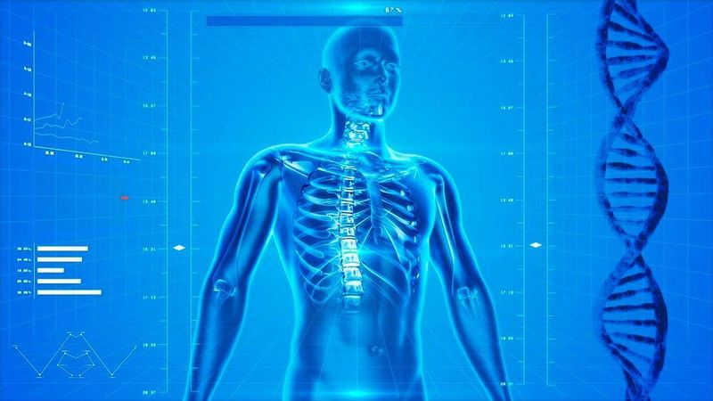 29,2 Prozent der Chemie- und Pharmaunternehmen in Deutschland investierten 2017 in Gesundheitsforschung und –wirtschaft.  Besonders die Forschung im Rahmen biotechnologischer Verfahren ist ein wichtiger Bestandteil. So werden Krankheiten besser entschlüsselt und innovative Arzneimittel eröffnen wirksame Therapieansätze. Im Rahmen einer Behandlung von Brust- und Darmkrebs kann z.B. Biopharmazeutika eingesetzt werden. Das Präparat unterbricht die zur Krebszellenvermehrung notwendigen Signalwege und führt dazu, dass belastende Chemotherapie überflüssig werden kann.  (gemeinfrei)