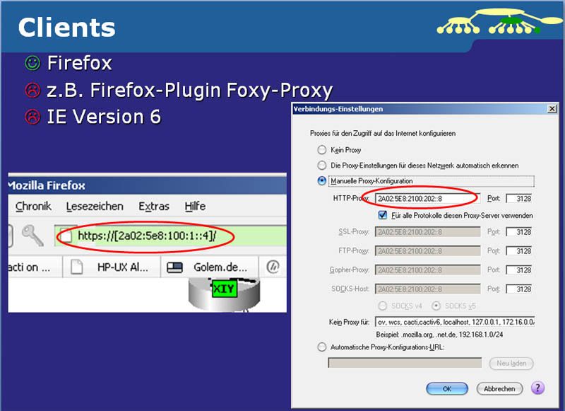 Schwierig wird es bei den Anwendungen. Der Open-Source-Browser Firefox selbst macht, wie erwartet keine Probleme, doch der „Internet Explorer „in der Version 6, funktioniert nicht wie er sollte. Auch das „Foxy-Proxy“ Plug in taugt nicht recht für IPv6.  (Archiv: Vogel Business Media)