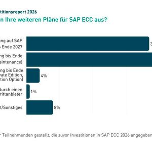 Die Pläne der Anwenderunternehmen für SAP ECC.(Bild:  DSAG)