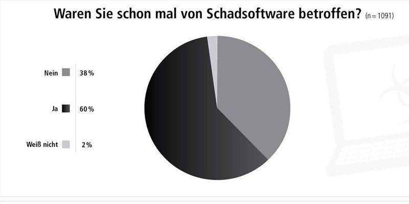 Probleme bei der Internetnutzung (Quelle: BSI)