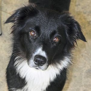 (© Juliane Bräuer)