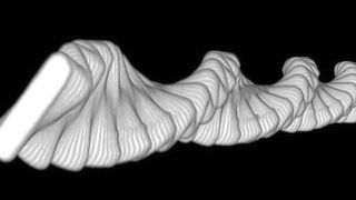Eine 3D-Spirale, die durch die Kombination von experimentellen Bildern des Rührfischs über einen Zeitraum von 1 s beim Schweben entsteht. Sie zeigt die Dynamik des Schwebeverhaltens, die sich aus niederfrequentem Drehen und hochfrequentem Schwingen zusammensetzt. (MPIDS)