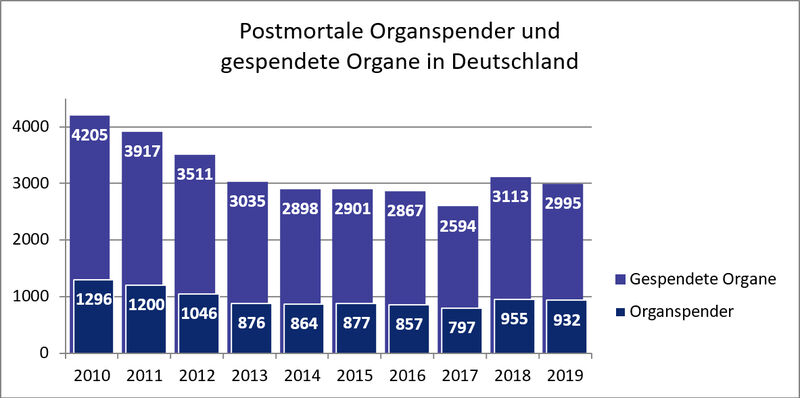 Entwicklung der Organspenderzahlen in Deutschland In den vergagenen zehn Jahren war 2010 das Jahr mit den meisten postmortalen Organspendern. Nach einem Tiefpunkt 2017 stiegen die Spenderzahlen 2018 wieder etwas an, liegen aber weiterhin deutlich unter dem Niveau von 2010.  Datenquelle: Jahresbericht Organspende und Transplantation in Deutschland 2019, DSO (pdf-Download) (LABORPRAXIS)