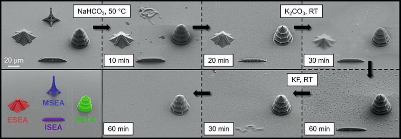 Dreidimensionale Mikrostrukturen aus verschiedenen spaltbaren Fotolacken. Die Rasterelektronenmikroskopaufnahmen zeigen den selektiven Abbau der Strukturen. (Skalierung 20 µm) (Nature Communications)