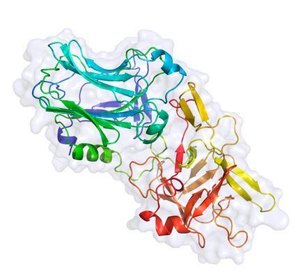 The newly discovered neurotoxin that specifically targets malaria mosquitoes. The structure of the part of PMP1 that “recognizes” the malaria mosquito. (Geoffrey Masuyer/ Stockholm University)