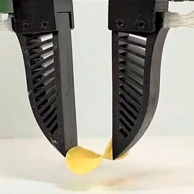 The fingers at the heart of this technology were inspired by the fin-ray effect — a design principle derived from the natural structure of fish fins.  (Source: University of Texas at Austin )