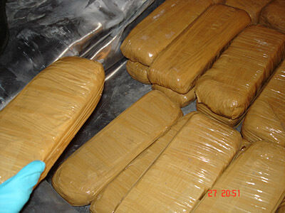 Heiße Ware im Kühl-Lkw: 150 kg Heroin - auf 300 Einzelpakete mit je 500 g verteilt - haben Zollbeamte des Hauptzollamts Regensburg versteckt in einem Kühlauflieger entdeckt und sichergestellt. (Archiv: Vogel Business Media)