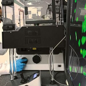 Mithilfe von Zellkulturen oder Mikroorganismen lassen sich bereits viele Tierversuche vermeiden. Noch besser gelingt dies, wenn die Technologien in geeignete Datenmodelle integriert werden. (Bild:  Empa)