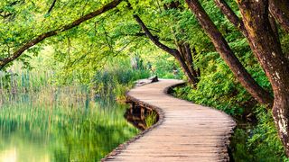 Weiter auf dem Greenlake-Pfad: HPE baut das As-a-Service-Angebot für die hybride Cloud weiter aus. Dabei weitet das Unternehmen seine Private-Cloud-Services in Kooperation mit Red Hat, VMware und Equinix aus. (Bild: Andrew Mayovskyy - stock.adobe.com)