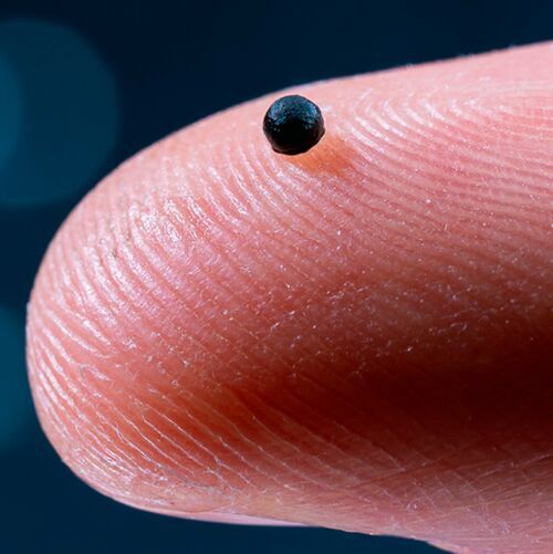 This is how small the latest ETH microrobot is. (Source:  Luca Donati / ETH Zurich)