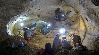 Coc Muoi-Höhle während einer gemeinsamen vietnamesisch-französischen Feldkampagne. Im beleuchteten Ausgrabungsbereich wurden fossile Zähne von Säugetieren aus dem Pleistozän gefunden, die später auf ihre chemischen Signaturen hin analysiert wurden, um die Ernährung und Umwelt der Vorzeit zu rekonstruieren. (Bild: Truong Huu Nghia, Abteilung für Anthropologie und Paläoumwelt des Vietnamesischen Instituts für Archäologie )