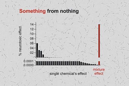 Verdeutlichung des "Something from nothing"-Phänomens. Die oft niedrigen Effekte der einzelnen in einer Probe nachgewiesenen Chemikalien summieren sich zu messbaren Mischungseffekten.(Bild:  UFZ)