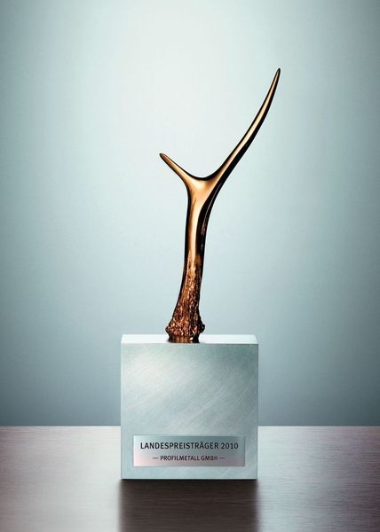 Im Oktober 2010 wurde die Profilmetall GmbH mit dem ersten Landespreis Baden-Württemberg ausgezeichnet. Dieser soll Anerkennung für besondere unternehmerische Leistungen sein. Bild: Profilmetall (Archiv: Vogel Business Media)