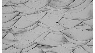 Forschende der Universität Nagoya in Japan haben nun den Metall-3D-Druck genutzt, um eine neue Reihe von Aluminiumlegierungen zu entwickeln, die auf höhere mechanische Festigkeit und bessere Hitzebeständigkeit optimiert sind.  (Bild: Universität Nagoya)