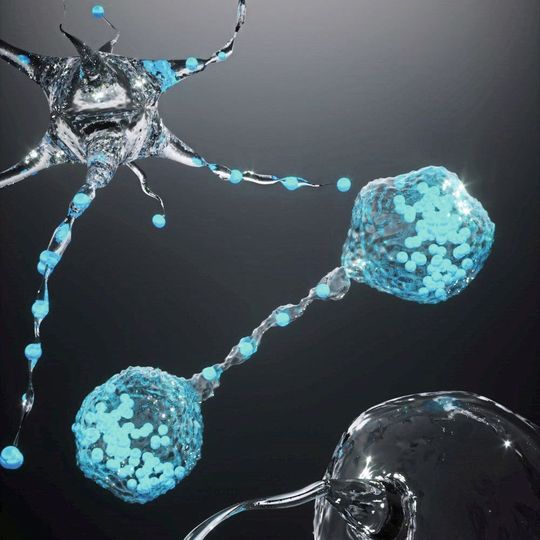 Simulationen von Jülicher Forschern könnten bei der Entwicklung synthetischer Zellen helfen (künstlerische Darstellung). Simulationen von Jülicher Forschern könnten bei der Entwicklung synthetischer Zellen helfen (künstlerische Darstellung).