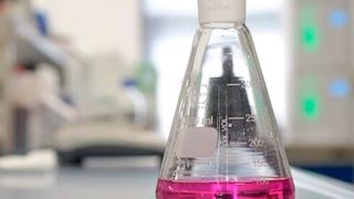 Das Labor der Richard Geiss GmbH unterstützt Kunden bei diversen Herausforderungen in der Reinigungspraxis. (Bild: Richard Geiss)