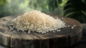 Laut Prognose den Nova-Instituts werden biobasierte Polymere ihren weltweiten Marktanteil von derzeit 1 % auf 2 % im Jahr 2030 verdoppeln. (Bild: BASF)