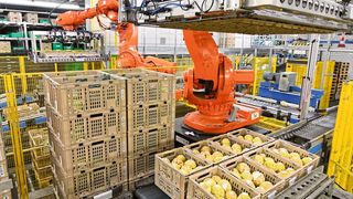 Automatisierte Vereinzelung von Ifco- und standardisierten Migros-Behältern zur Einlagerung in das Multi-Shuttle-Lager. (IGZ)