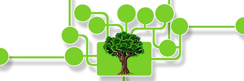Das Bündnis „Bits & Bäume“ fordert von der Politik strategische Weichenstellungen, damit sich Digitalisierung am Natur-, Klima- und Ressourcenschutz sowie am Erhalt der Biodiversität ausrichtet. Das Bündnis „Bits & Bäume“ fordert von der Politik strategische Weichenstellungen, damit sich Digitalisierung am Natur-, Klima- und Ressourcenschutz sowie am Erhalt der Biodiversität ausrichtet.