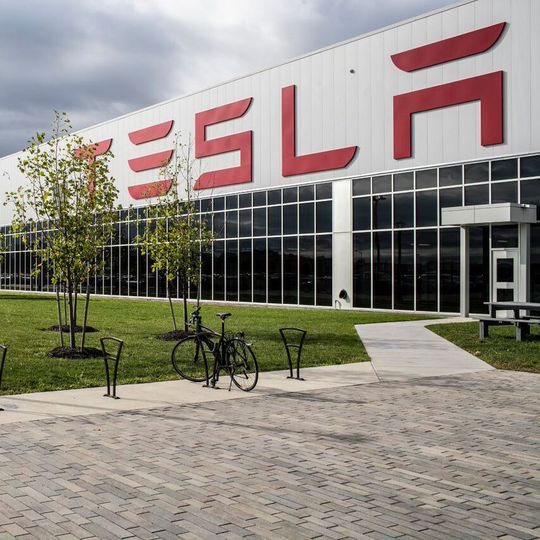 Tesla darf noch vor Beginn der Vegetationsperiode weiter Bäume auf einem Teil des Geländes in Grünheide fällen.(Bild:  Tesla)