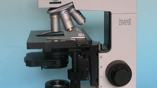 Das Hund H600BS mit Fluoreszenz-Illuminator beherrscht mehrere Kontrastierverfahren für biologische Abwasser-Untersuchungen.  (Bild: Helmut Hund)