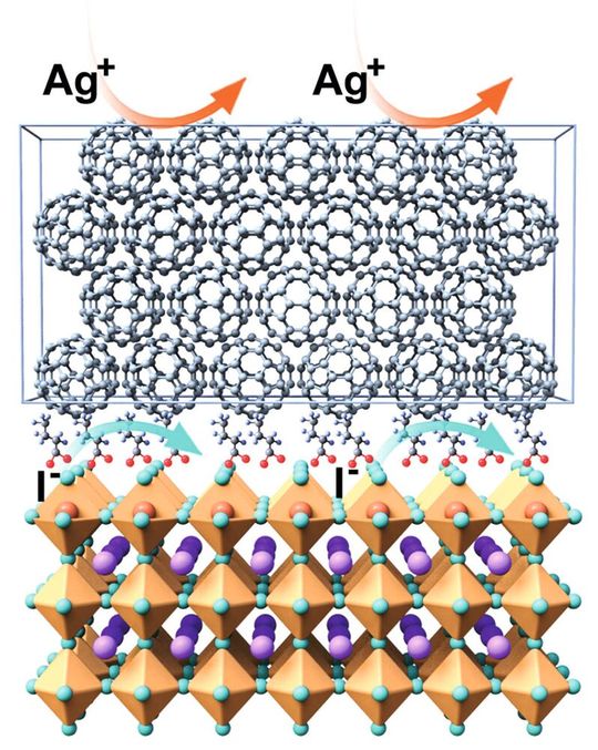 Eine Fluorverbindung zwischen Perowskitschicht und Buckyball-Kontaktschicht (C60) bildet einen fast monomolekularen Film, der wie eine chemische, schützende Barriere wirkt und die Stabilität der Zelle steigert.(Bild:   Guixiang Li/Nature Photonics 2025)