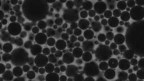 A microscopic close-up of the bubbles in foam, whose movements mathematically mirror the process of deep learning, used to train modern AI systems. (Source: Crocker Lab)