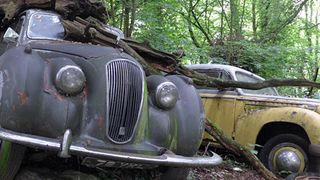 Oldtimerfreunden könnte ein besuch des Automobilfriedhofs im Neandertal zusetzen. Doch wer die Geschichte hinter dem Autofriedhof kennt, sieht die verwitterten Schönheiten vielleicht mit anderen Augen. (Foto: SP-X)