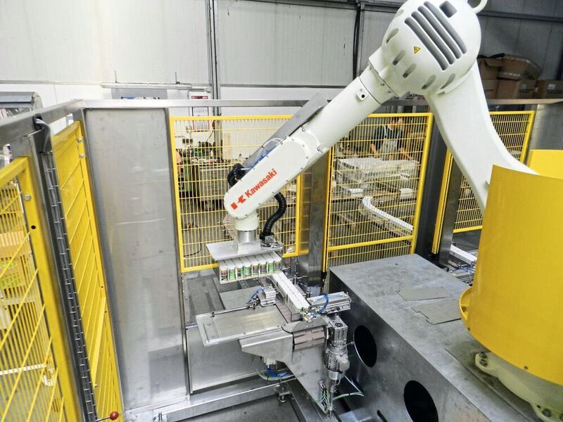 Die für einen Gewürzhersteller entwickelte Doppelpalettierzelle der Firma Ecoma Maschinenbau setzt auf einen Kawasaki Roboter RD80N. (Kawasaki Robotics)