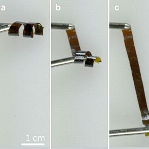 (Scientific Reports 2017)