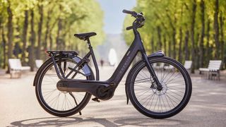 Das „Avignon C8 HMB“ kostet mit kleiner Batterie rund 3.800 Euro. (Bild: Gazelle)