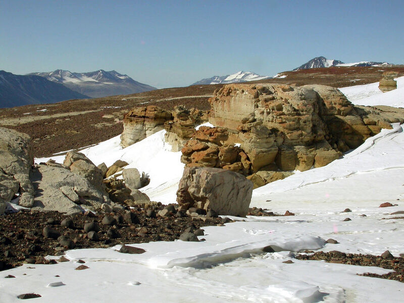 Verwitternder Beacon Sandstein der Linnaeus Terrace genannten Region in den Trockentälern der Antarktis in 1250 Metern Höhe. Unter dessen Oberfläche lebt die Blaugrüne Felskugel (Chroococcidiopsis) in eisiger Kälte. (Burkhard Büdel, TU Kaiserslautern)