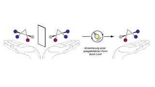 Ebenso wie unsere Hände, verhalten sich auch bestimmte organische Moleküle zueinander wie Bild und Spiegelbild – ein Phänomen, das von Chemikern als „Chiralität“, zu Deutsch „Händigkeit“, bezeichnet wird. (Bild: AG Gilmour)