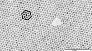 Die etwa acht Nanometer kleinen Bleisulfid-Nanopartikel ordnen sich zunächst zu einer Schicht mit Sechseck-Symmetrie. Eines der Sechsecke ist in diesem Bild grafisch hervorgehoben. (Universität Hamburg, Stefan Werner)