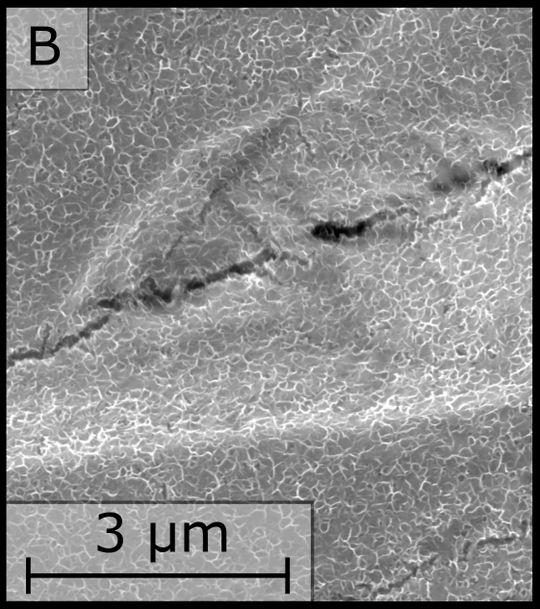 Immagine al microscopio elettronico a scansione della superficie di Ni dopo la sua preparazione(Bild:  Justus Leist / Università di Ulm)