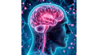 MS is a progressive neurological disease that currently has no cure. (Source: frei lizenziert)