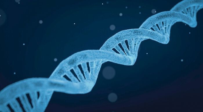 A new DNA test has been shown to identify a range of hard-to-diagnose neurological and neuromuscular genetic diseases. (Arek Socha)