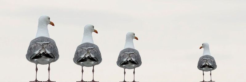 Kunden wollen einheitliche Standards - und haben gleichzeitig den Wunsch nach individualisierten Produkten.(Bild:   / CC0)