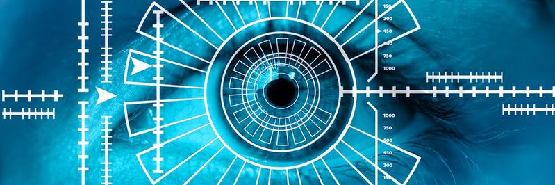 Die Biometrie befindet sich noch am Anfang dessen, was sie in der Lage ist zu leisten, aber ihr Potenzial ist riesig.(Bild:  gemeinfrei /  Pixabay)